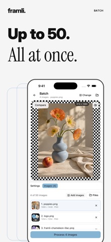 Framli: Converter & Resizer screenshot 6