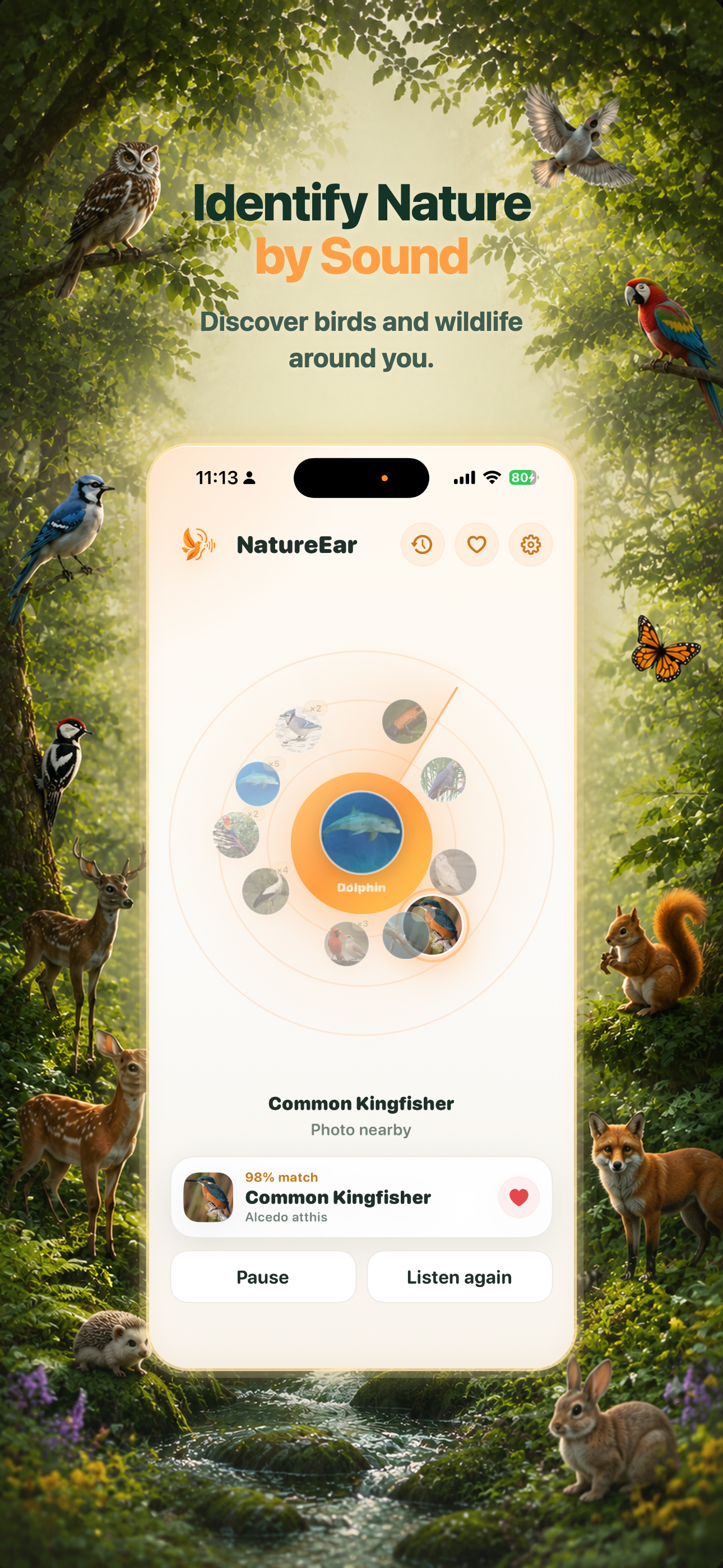NatureEar - Offline Sound ID screenshot 2