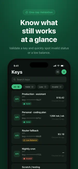 KeyNest - AI API Key Manager screenshot 2