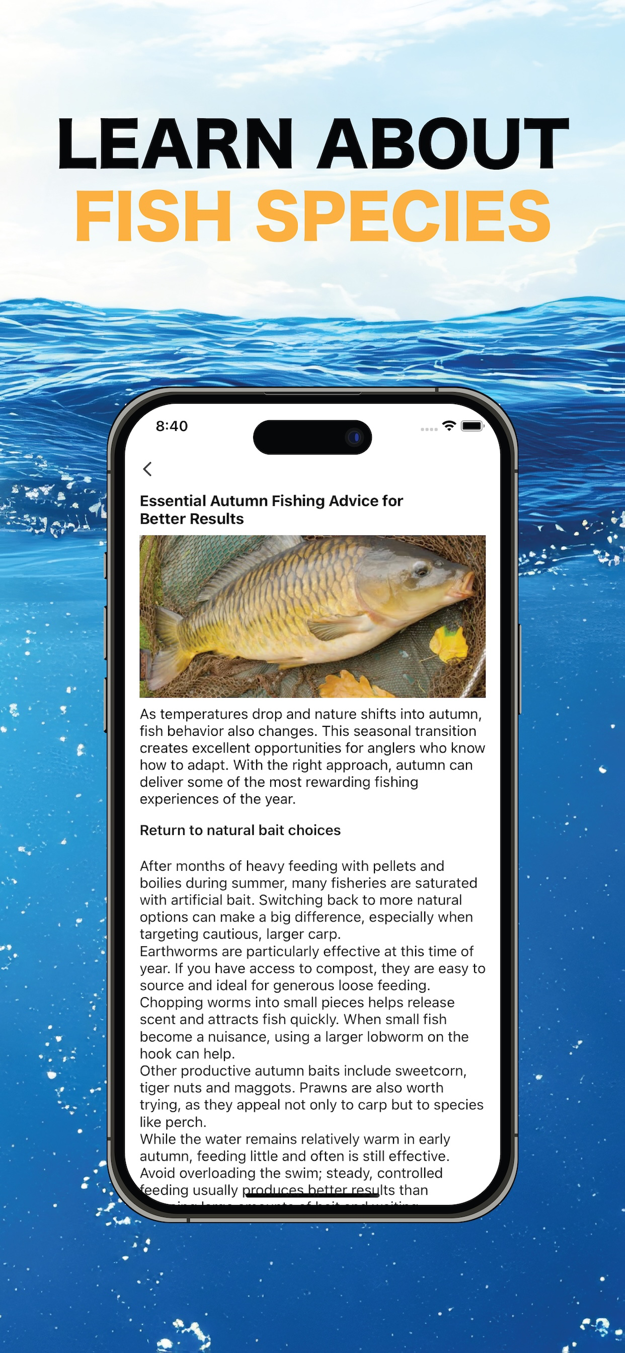 Fish Identifier: Snap & Finder