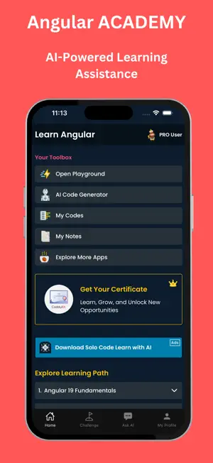 Learn Angular: Build Web Apps screenshot 1