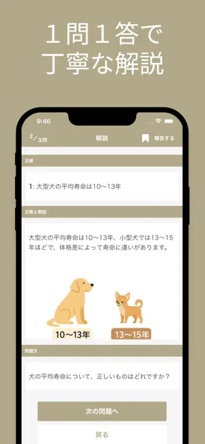 いぬ検定 初級 対策アプリ screenshot 3