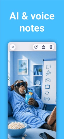 LazyMonkey: Agenda & Planner iPhone screenshot
