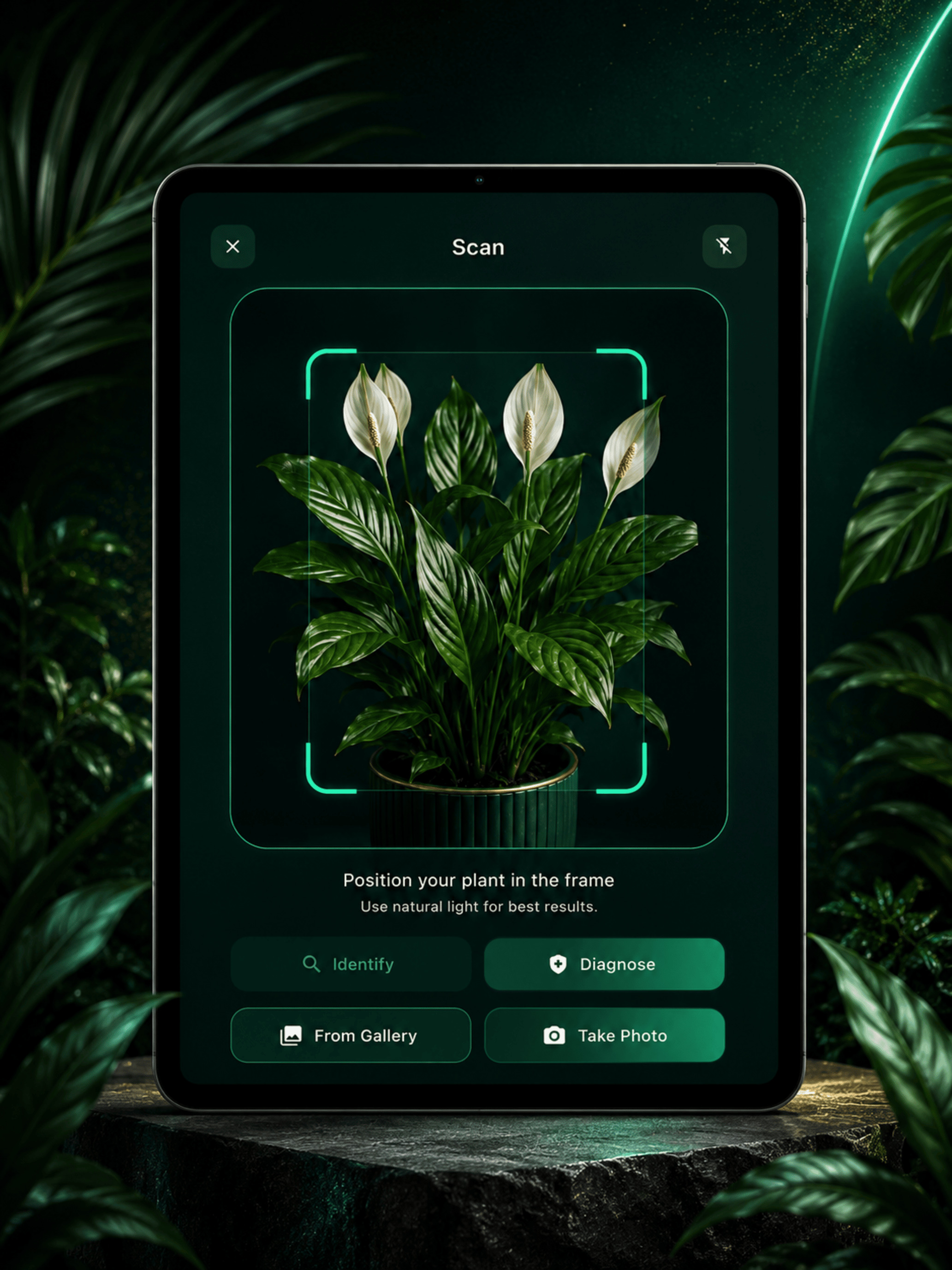 Plantery - Plant Recognition screenshot 6