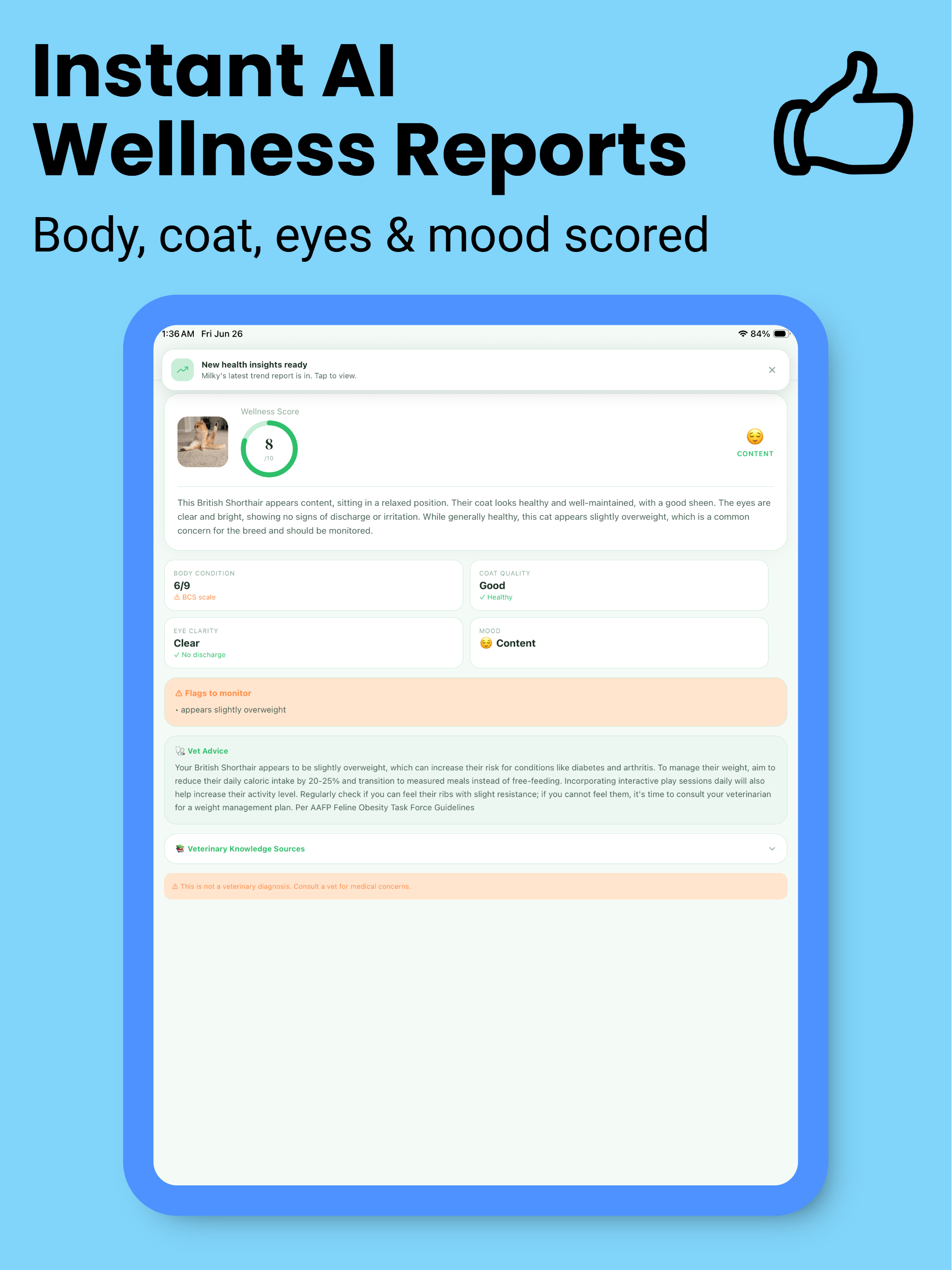 Cat Health Tracker: Dr. Meow