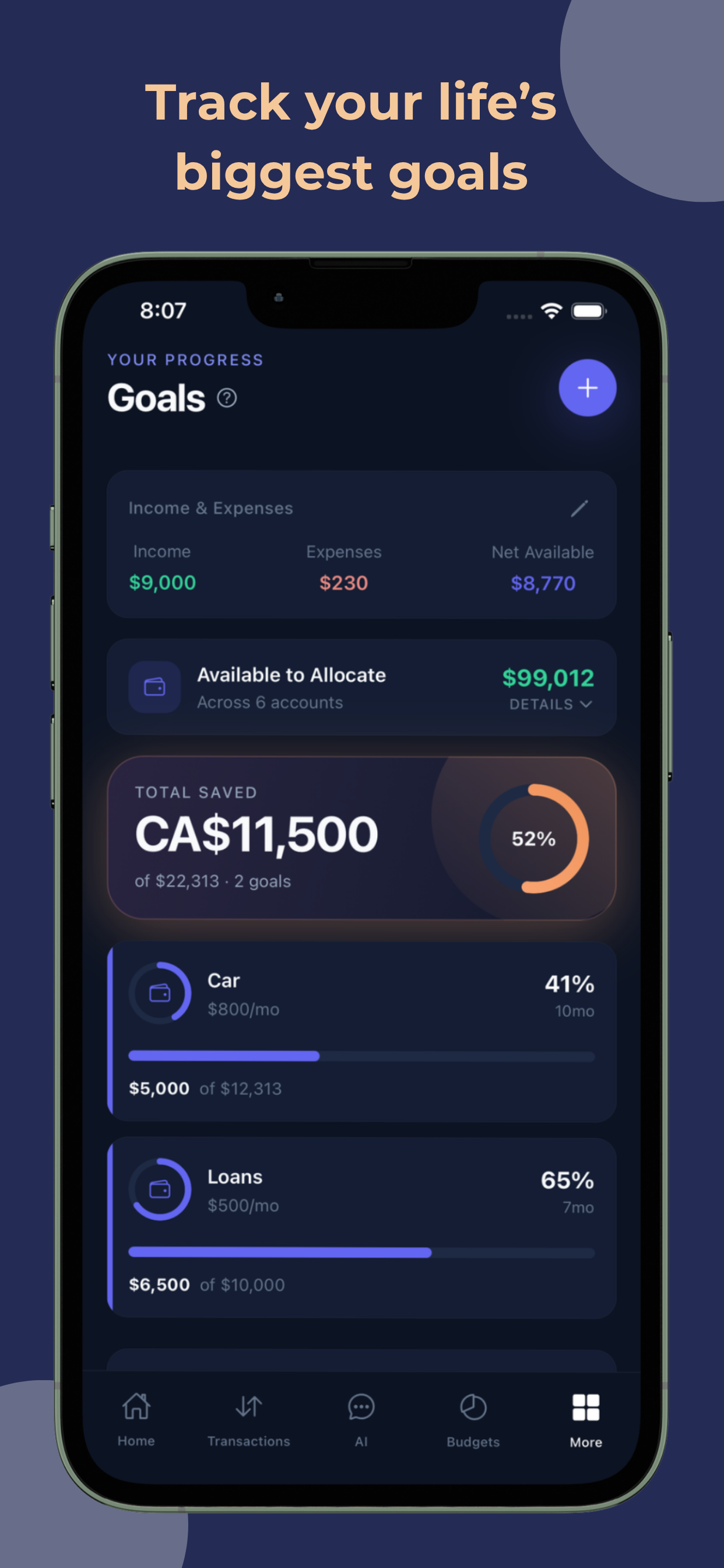 Sable Spend screenshot 8