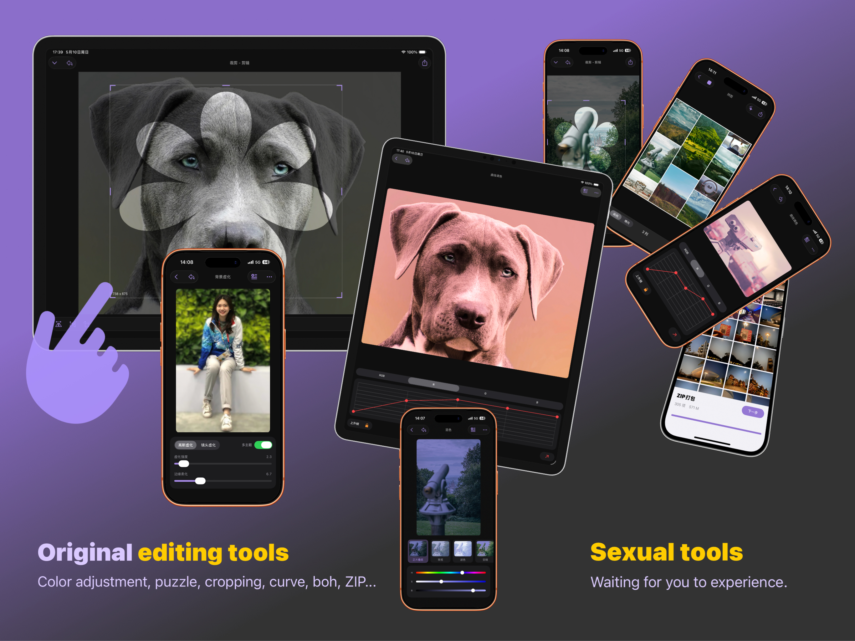 Sorter: Photo Manager Pro screenshot 15