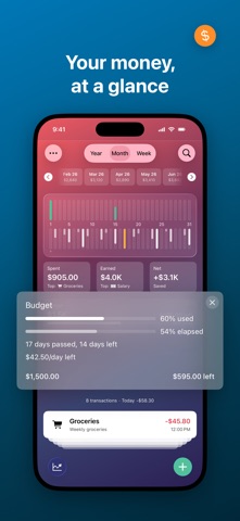 Coins - Spending Tracker Screenshot 3 of 10