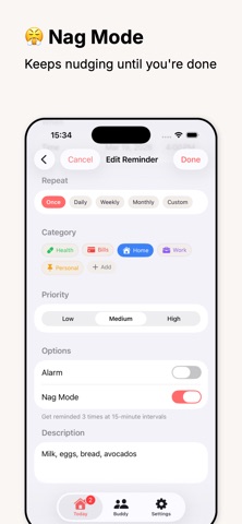 RemiBuddy screenshot