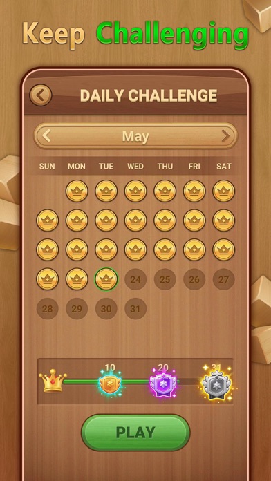Block Puzzle Sudoku - Daily Screenshot