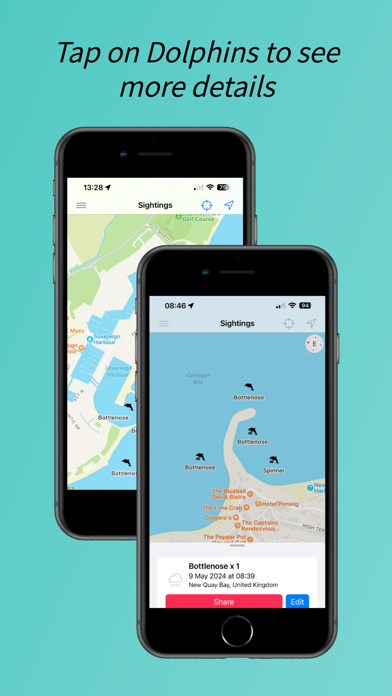Dolphin Spotter Screenshot