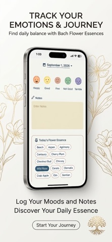 应用截图 4