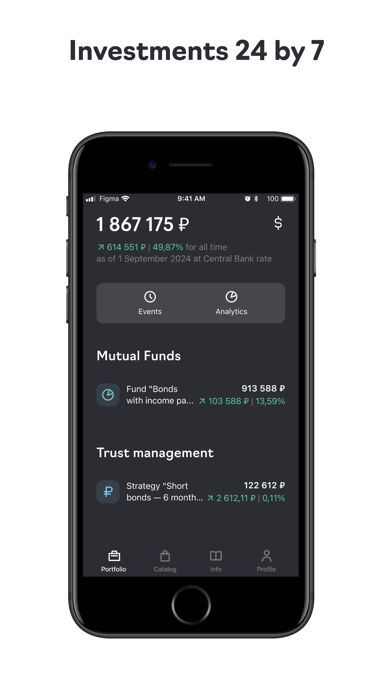 Raiffeisen Capital. Investment Screenshot