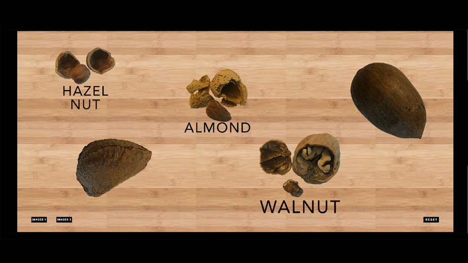 #4. Nutcracker! (iOS) 由: Parrot Concepts, LLC