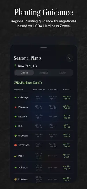 Ambient Almanac screenshot 2