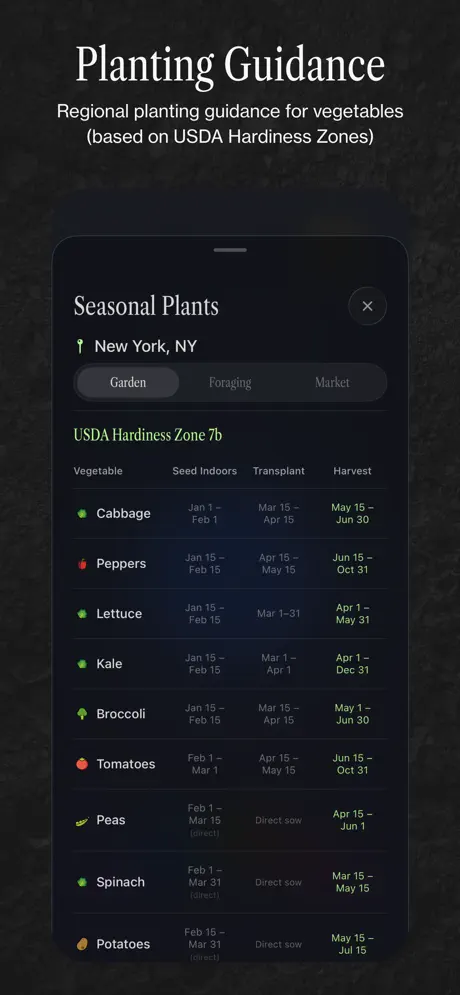 Ambient Almanac screenshot 2