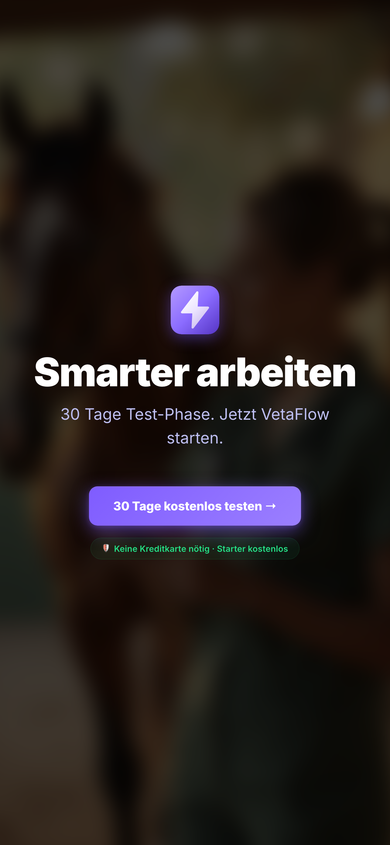 VetaFlow screenshot 9