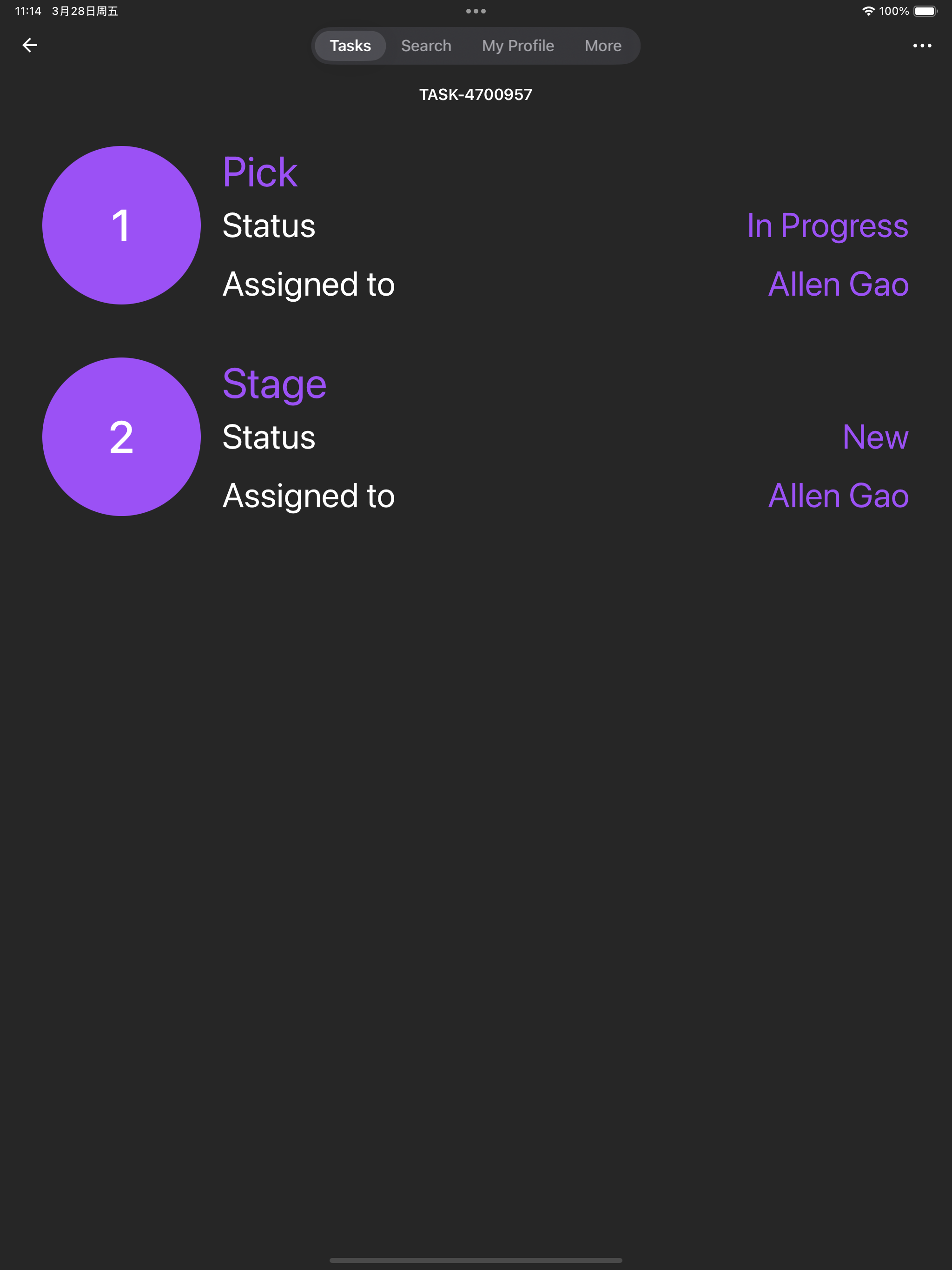 Item WMS V3 screenshot 12