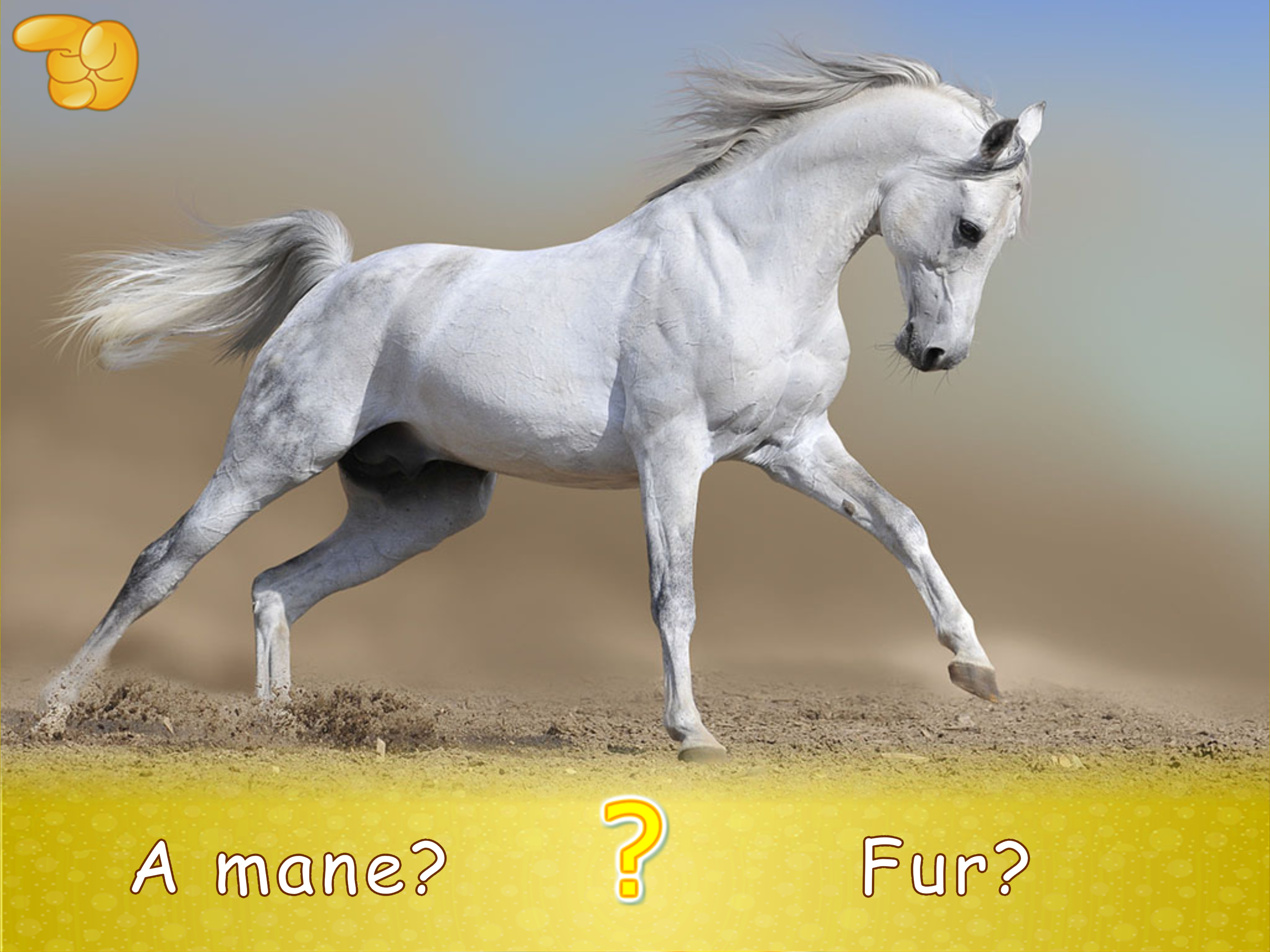 Animal picture games: for kids screenshot 18