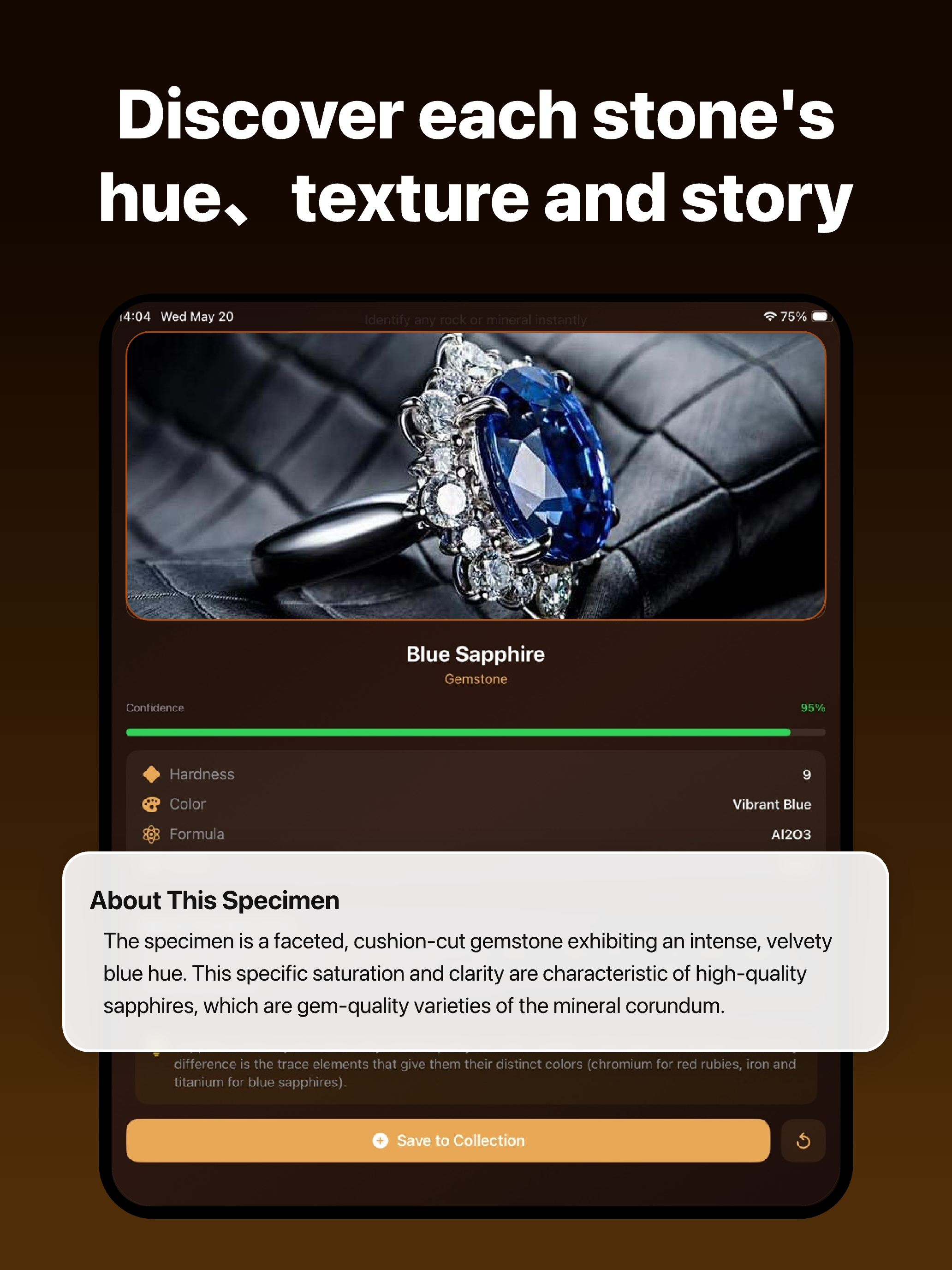 RockFinder AI screenshot 12