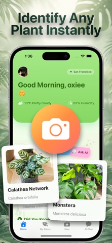 Plant Identifier - Scan Plant screenshot