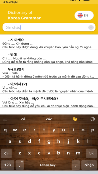 Từ điển ngữ pháp tiếng Hàn Screenshot