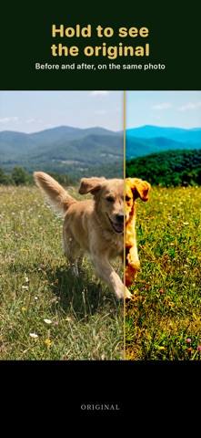 Philmm: AI Photo Editor Screenshot 4 of 9