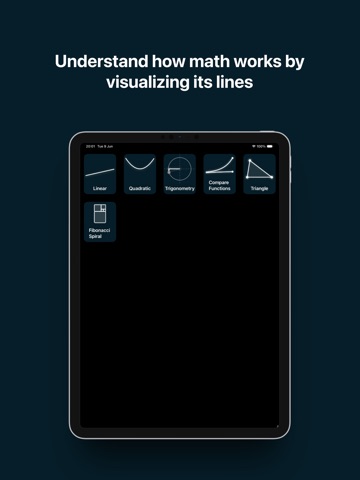 Lines - Math Visualizer iPad screenshot