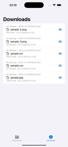 Borg Backup Explorer Screenshot 5 of 5