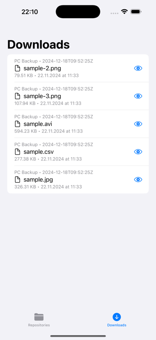 Borg Backup Explorer Screenshot 5 of 5