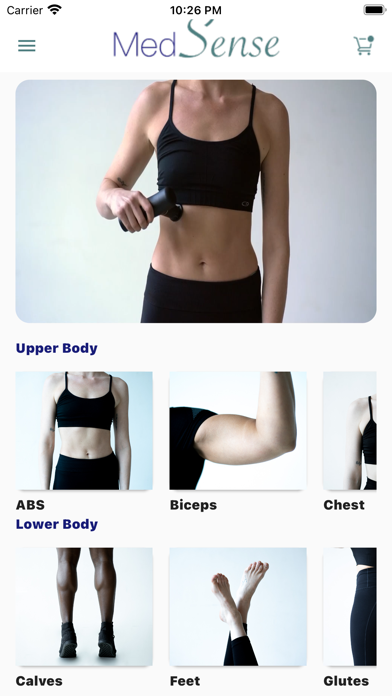 MedSense Recover Screenshot
