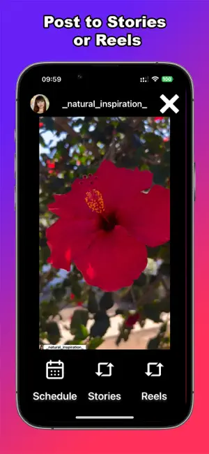 Story Saver: Instant Save Post screenshot 3