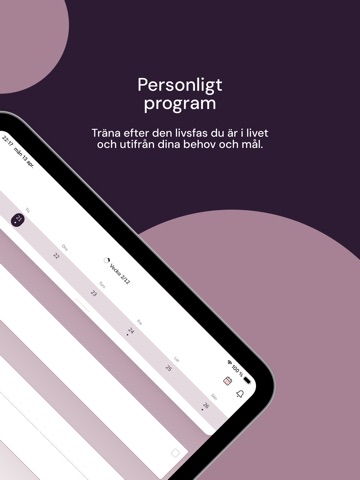 Femmefysio iPad screenshot 2