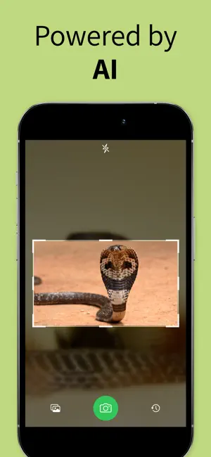 Snake Identifier Reptile ID screenshot 3