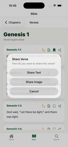 Nkwa Bible screenshot