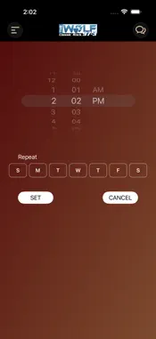 97-3 The Wolf screenshot 9