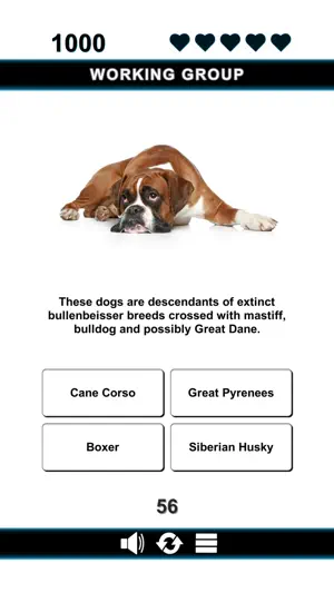 Good Dog screenshot 4