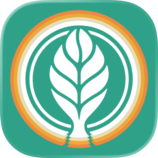Black Elm Coffee