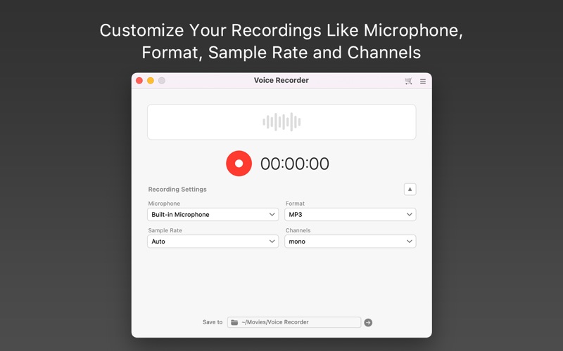 Voice Recorder screenshot 2