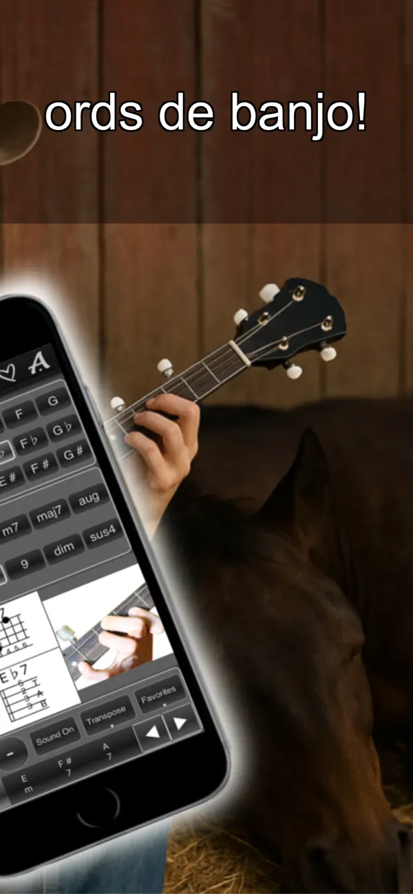 Screenshot #2 pour 120 Banjo Chords