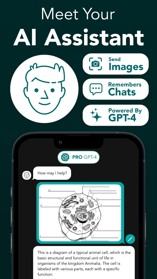 #6. StudyAI - Web & Photo AI Tutor (iOS) 게시자: ACApplications, LLC