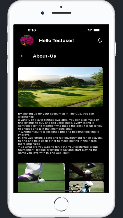 In The Cup Golf screenshot-5