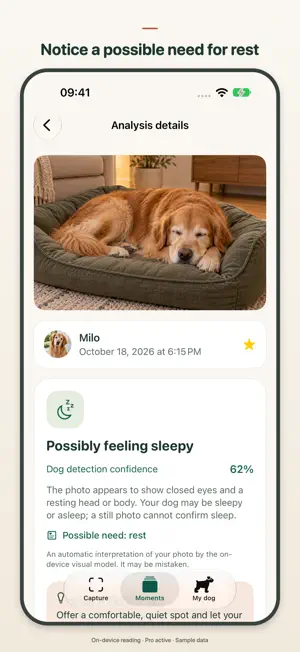 Dog Sense - Dog Scanner screenshot 3