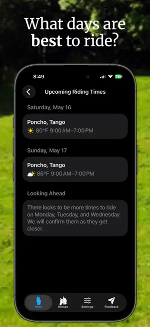 Blanket & Riding - Hot Horse screenshot 3