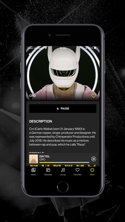 Openair Frauenfeld screenshot-4