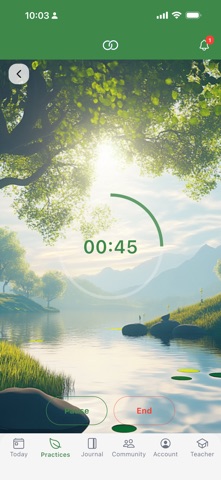 ESRT StrongMind screenshot