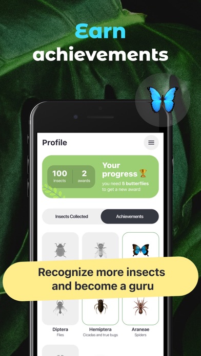 Insect Identifier Bug ID Screenshot