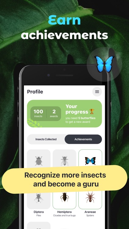 Insect Identifier Bug ID