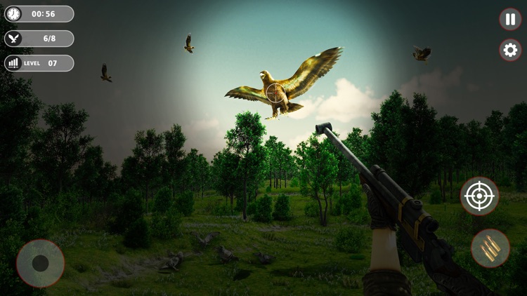 Jungle Birds Hunting Shooting