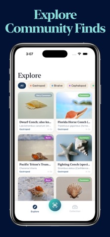 Sea Shell Identifier iPhone screenshot